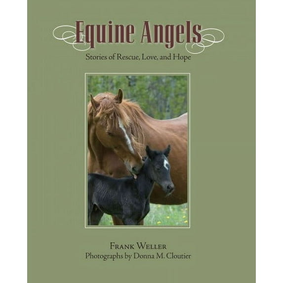 Equine Angels : Stories Of Rescue, Love, And Hope (Hardcover)