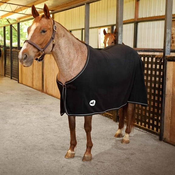 Equine Elite Fleece Horse Cooler Blanket, 78 Inch  Soft, Adjustable Fit, Lightweight, Easy Care, Moisture Wicking Cooling Sheet with Surcingle for Post Exercise, Travel for Horses  Black