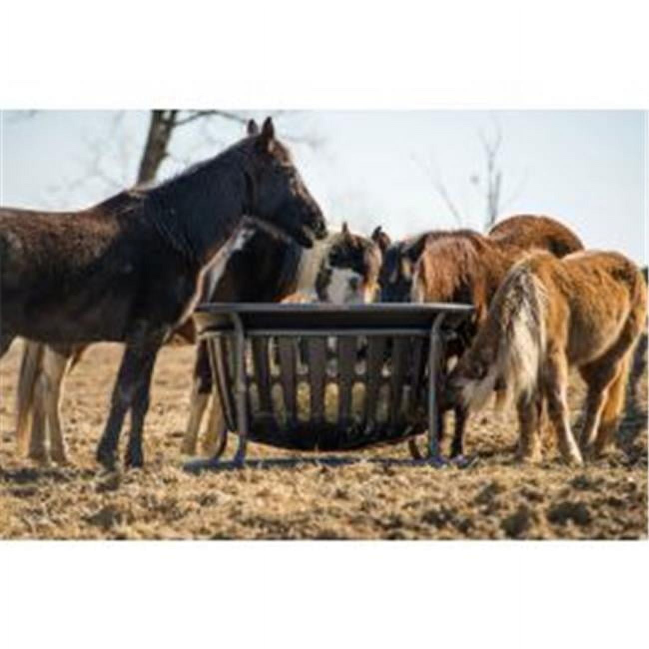 Equine Hay Basket, Gray