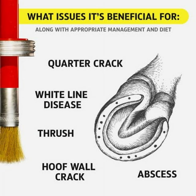 Equine One Natural Hoof Dressing 100 AllNatural Hoof Care Product