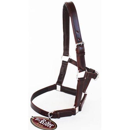 Equine Riding Horse Leather Halter English Western Tack Foal Brown 927R17BR
