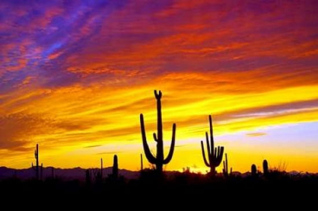 Equinox Sunset Canvas Art - Douglas Taylor (24 x 36)