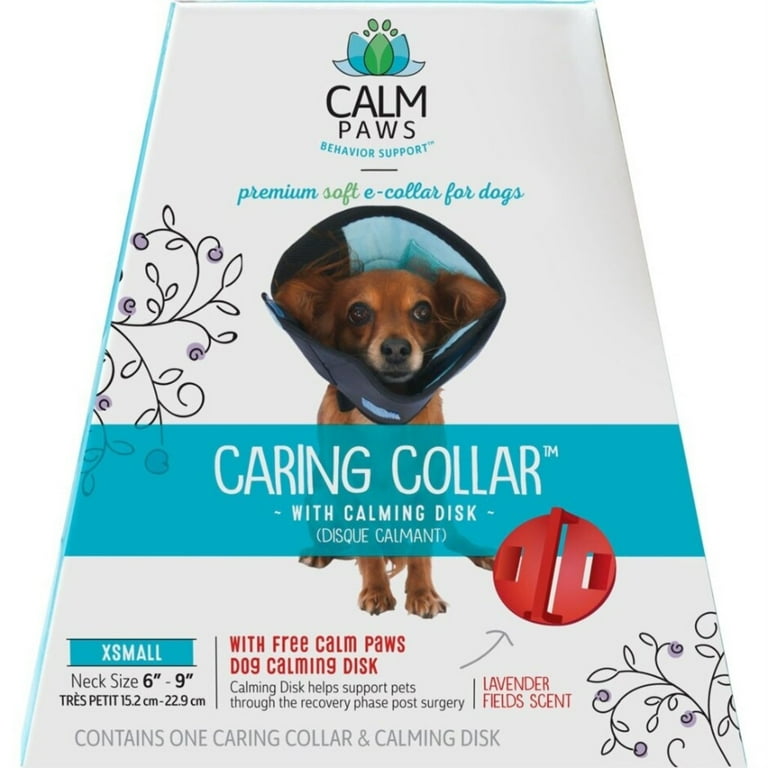 Dog safe fly repellent cheap