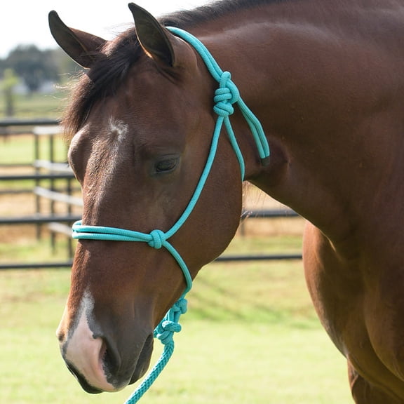 Equissential Rope Halter with 8ft Attach