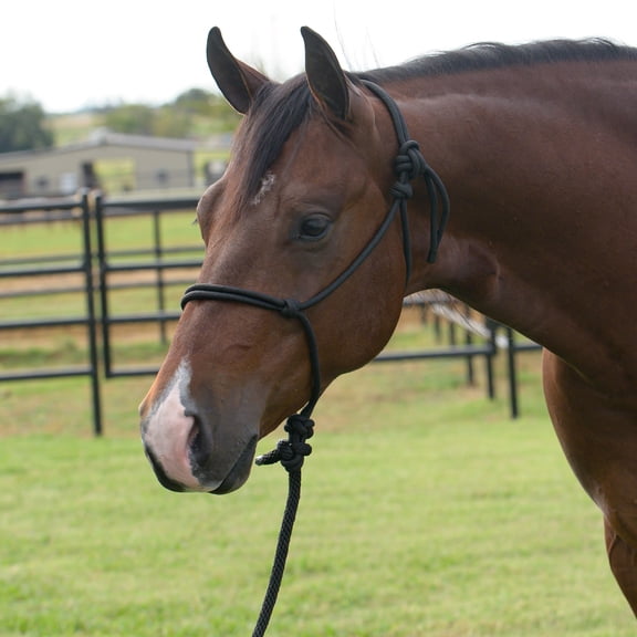Equissential Rope Halter with 8ft Attach