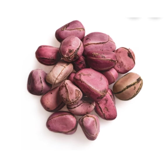 Er African Online Store Kola Nuts 5oz Premium Whole African Kola Nuts for Energy, Rituals & Wellness
