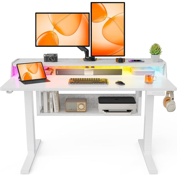 ErGear Electric Standing Desk with Shelves, 48 * 24 Inch