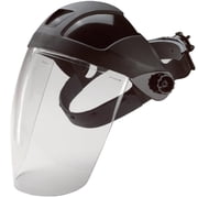 Delta Plus E12 Headgear With Clear Polycarbonate Face Shield