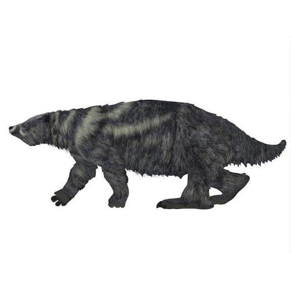 Eremotherium Ground Sloth Side View - 16 x 12