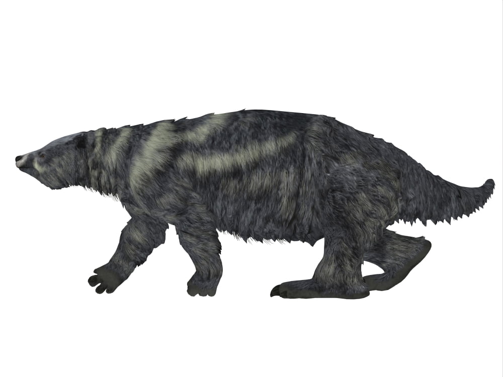 Eremotherium ground sloth side view Canvas Art - Corey FordStocktrek Images (32 x 24)