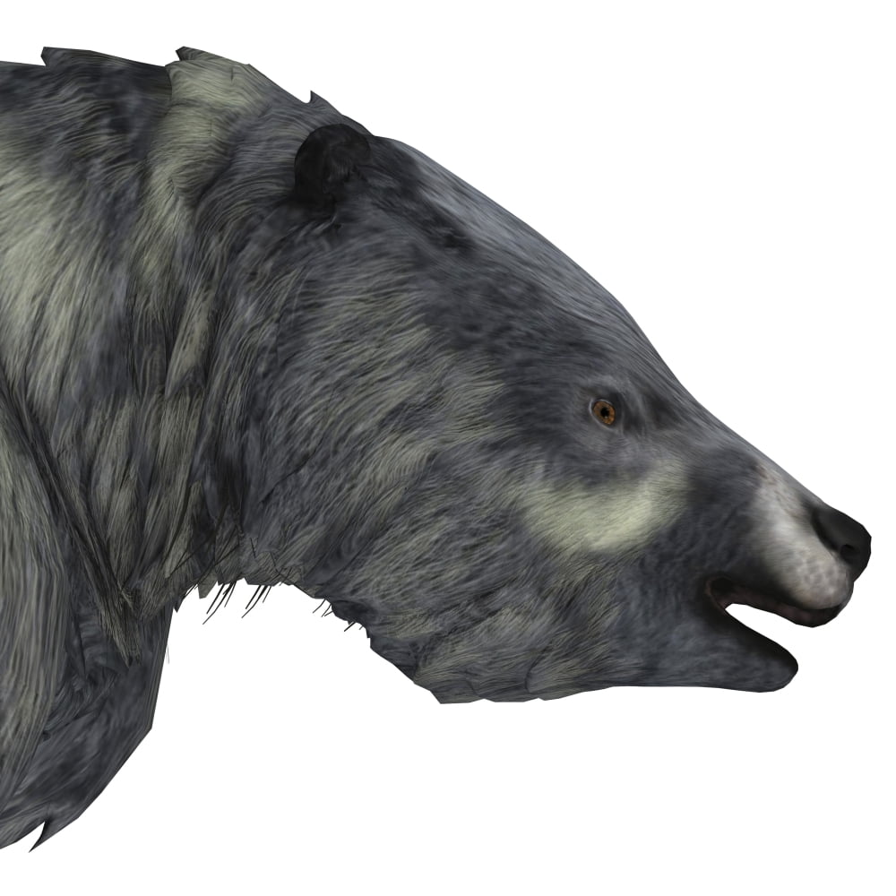 Eremotherium portrait on white background Canvas Art - Corey FordStocktrek Images (28 x 28)