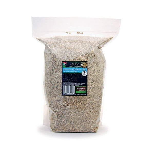 Eretz Kentucky 31 K31 Tall Fescue Grass Seeds, 3 lb No Fillers, Drought Tolerant