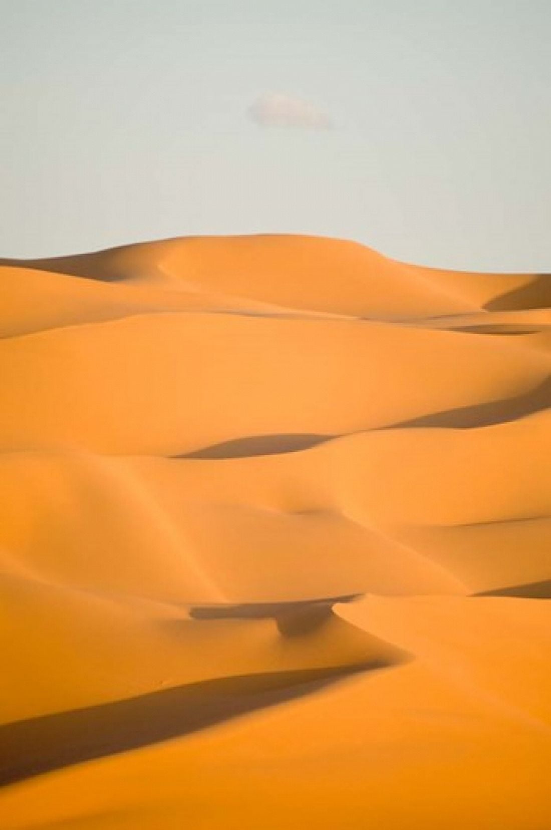 Erg Awbari Sahara desert Fezzan Libya Canvas Art - Sergio Pitamitz DanitaDelimont (23 x 35)