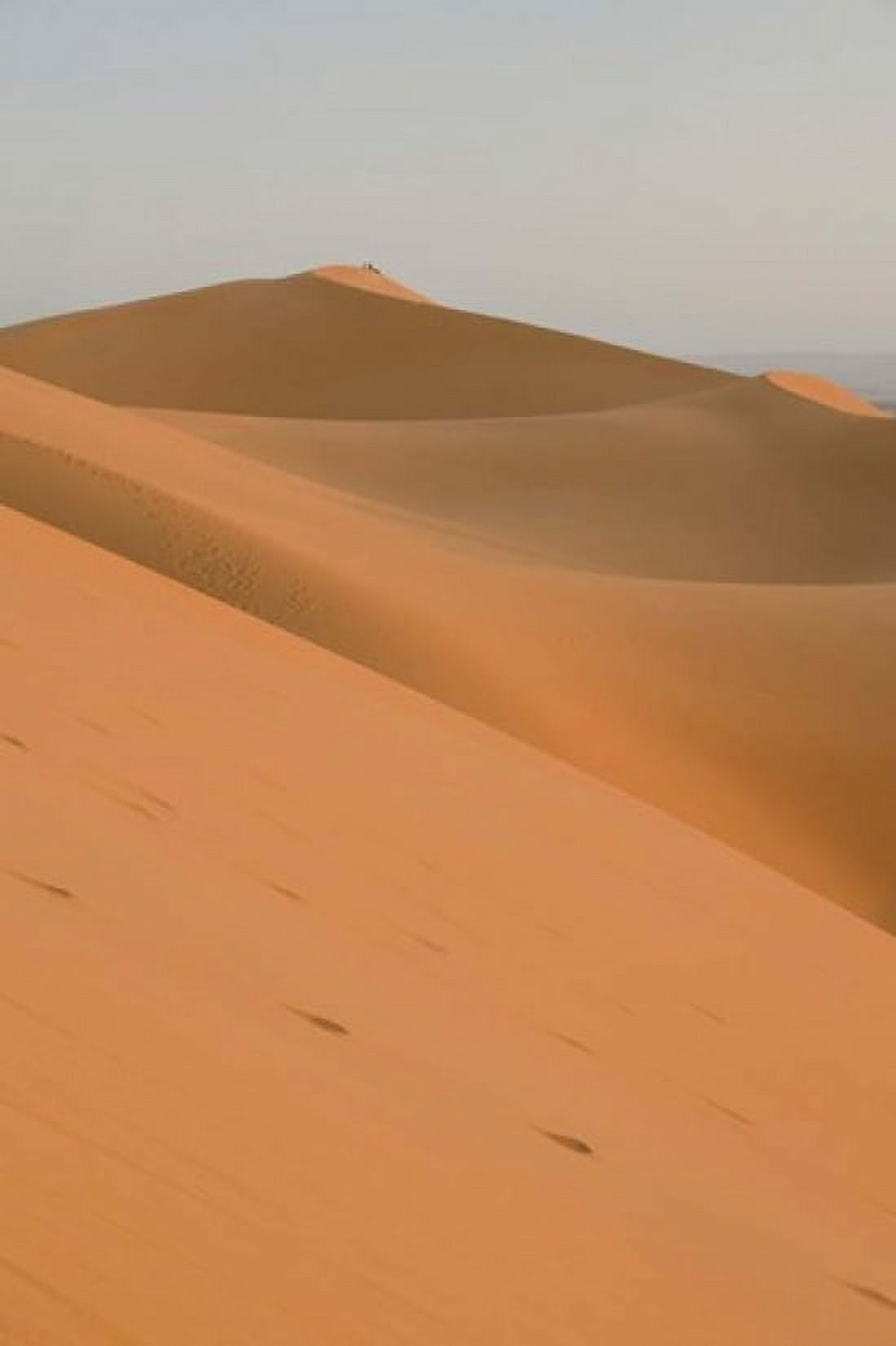 Erg Chebbi Dunes Morocco Canvas Art - Walter Bibikow DanitaDelimont (11 x 17)