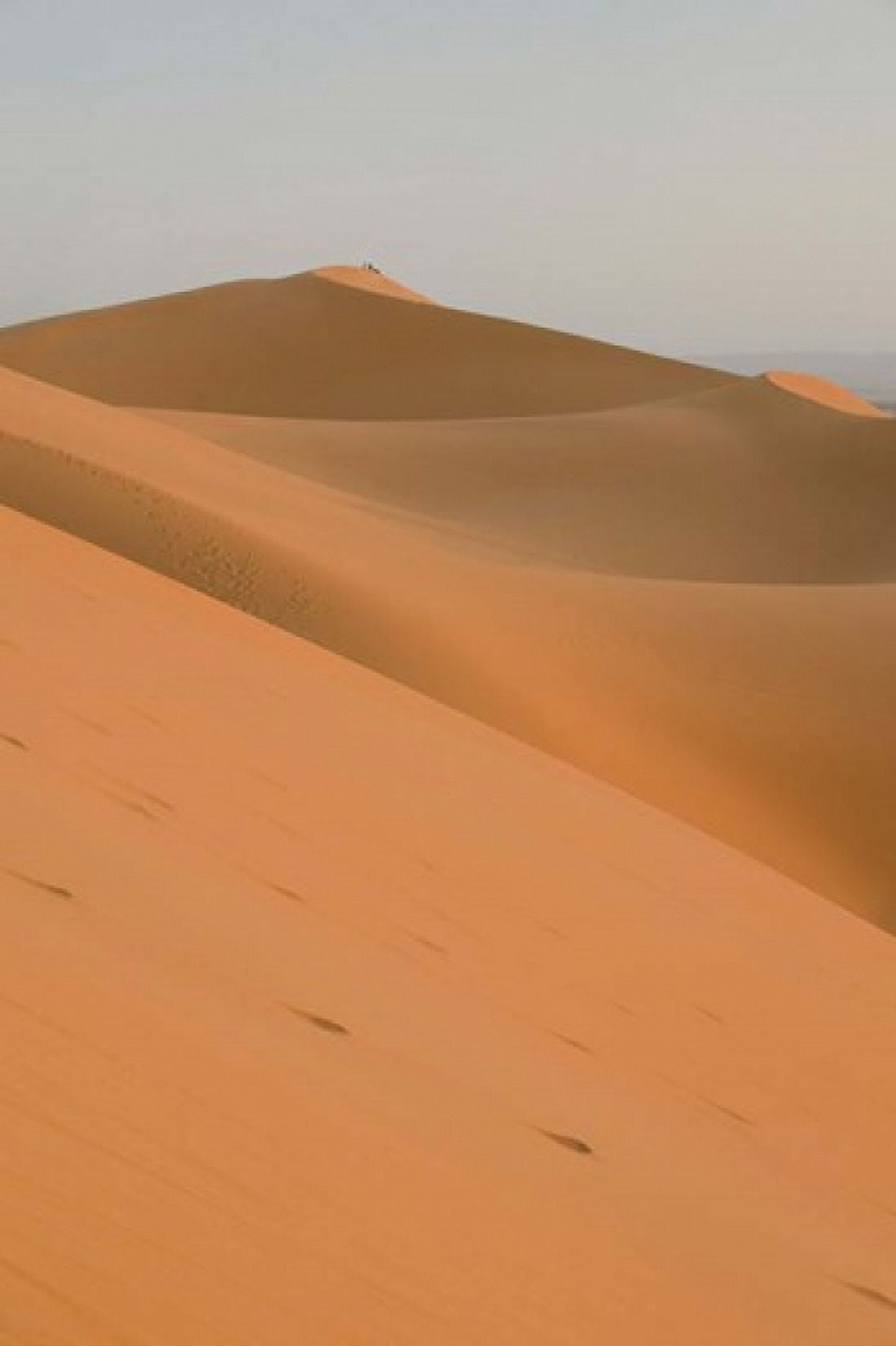 Erg Chebbi Dunes Morocco Canvas Art - Walter Bibikow DanitaDelimont (23 x 34)