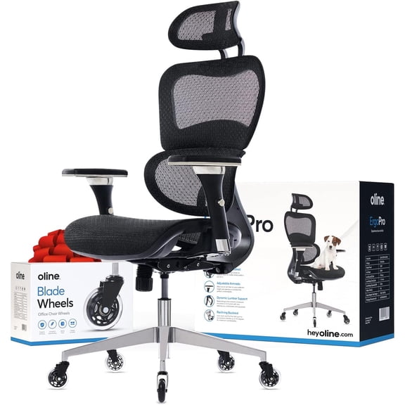ErgoPro Ergonomic Office Chair, Rolling Desk Chair with 4D Adjustable Armrest, 3D Lumbar Support, Blade Wheels, Mesh Computer Gaming Executive Swivel Chairs Chair (Black)