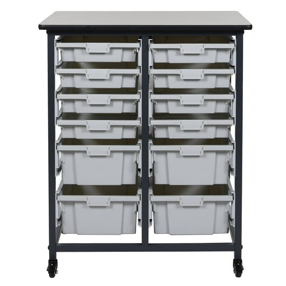 Ergode Double Row Mobile Bin Storage Unit with 8 Small and 4 Large Bins