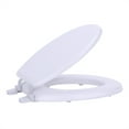 thumbnail image 1 of Ergode Fantasia 17 Inch Standard Wood Toilet Seat - White, 1 of 3