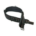thumbnail image 1 of Ergodyne Arsenal® 5555 5-Inch Padded Base Layer Work Belt, Black, M, 1 of 2