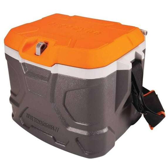 Ergodyne Chill-Its 5170 17-Qt Industrial Hard-Sided Cooler, 16-1/4"H x 12"W x 12"D, Orange/Gray