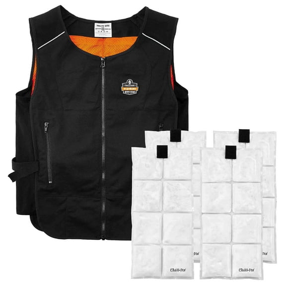 Ergodyne Cooling Vest with 4 Ice Packs, Lightweight, Quick Recharge Cooling, Chill Its 6260, L/XL CA3