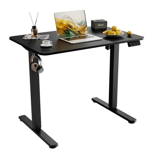 Ergomaker Electric Standing Desk，43" x 23.6" Height Adjustable Desk with Memory Preset for Adult,Black