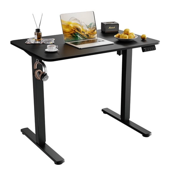 Ergomaker Electric Standing Desk,43" x 23.6" Height Adjustable Desk with Memory Preset for Adult,Black
