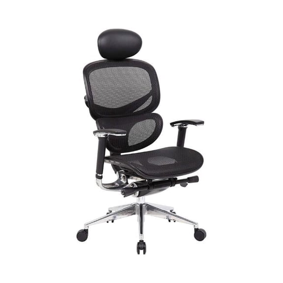 Ergomax Multi-Function Mesh Ergonomic Desk Chair