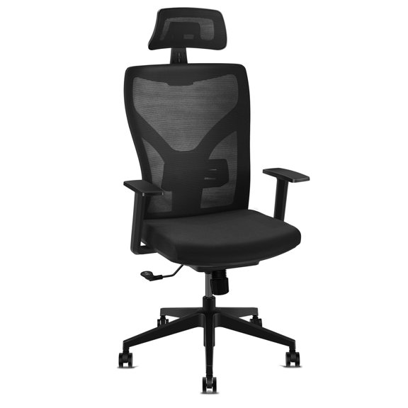 Ergonomic Adjustable Office Chair, High Back Home Desk Chair with Lumbar Support and Breathable Mesh, Computer Chair with Adjustable seat height, Headrest and lumbar support height
