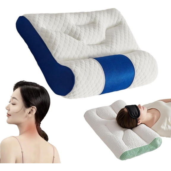 Ergonomic Cervical Pillow for Neck Support Premium Goose Down Pillow, Enhanced Sleep Comfort for Side/Back Sleepers Bed Pillow 2025 Upgrade (Blue, Large)