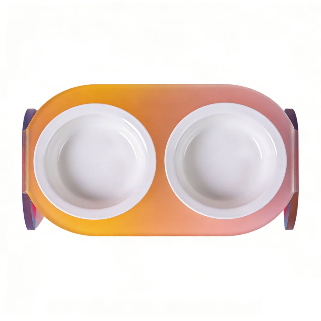 Ergonomic Dog Bowls Ceramic Bowl For Eating Heavy Duty