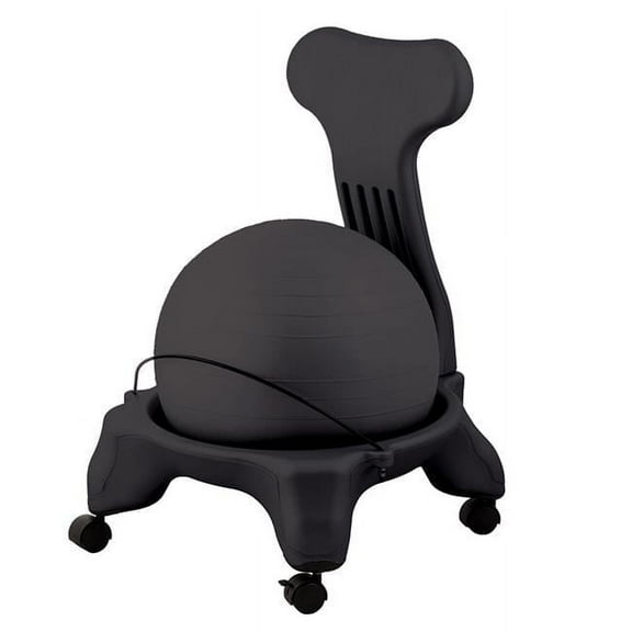 Ergonomic Fit Pro Ball Chair