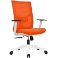 Ergonomic Function Mesh Office Chair with Lumbar Support, Adjustable