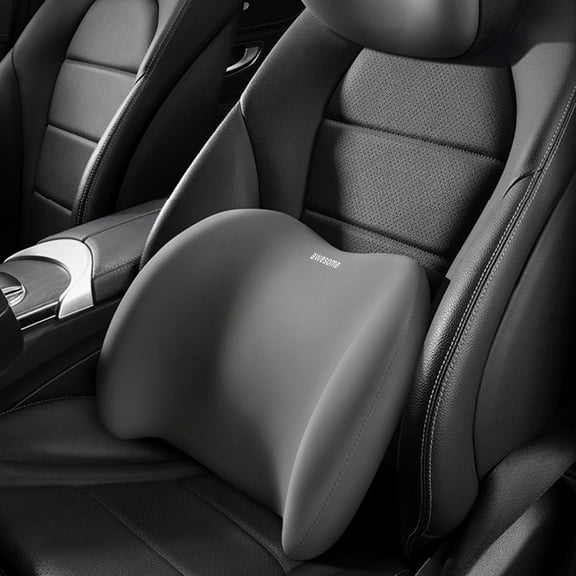 Ergonomic Memory Foam Lumbar Support Pillow for Office Chair or Car Seat, Removable Washable Cover, Portable Bag