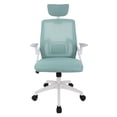 thumbnail image 1 of Ergonomic Mesh Desk Chair High Back Computer Chair Adjustable Headrest with Flip-Up Arms Lumbar Support Swivel Executive Task Chair, 1 of 8