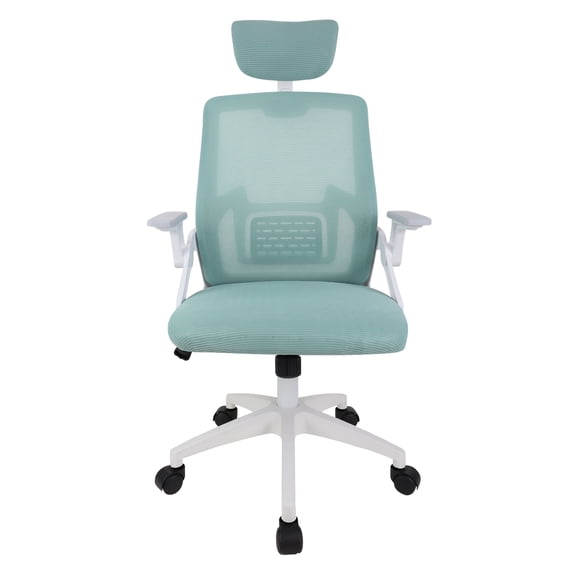 Ergonomic Mesh Desk Chair High Back Computer Chair Adjustable Headrest with Flip-Up Arms Lumbar Support Swivel Executive Task Chair