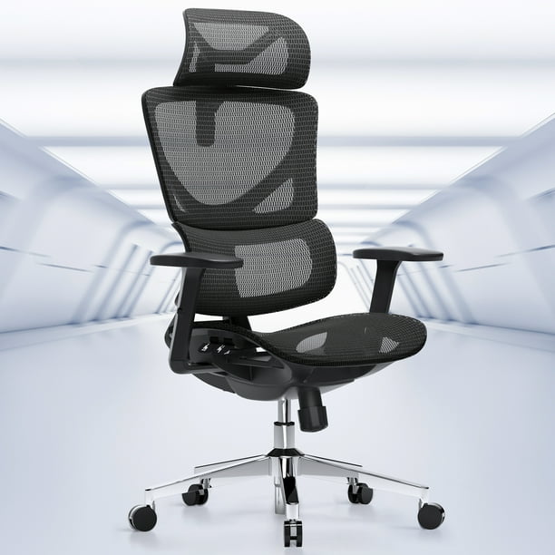 Ergonomic Mesh Home Office Chair, High Back with Lumbar SupportSeat