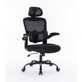 Ergonomic Mesh Office Chair with 3D Adjustable Lumbar Support, High