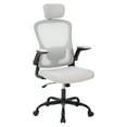 thumbnail image 1 of Ergonomic Mesh Office Chair – Adjustable 2D Headrest, Rotate-Up Arms & Lumbar Support – Reclining High-Back Swivel Desk Chair with Silent Casters – Comfortable for Bedroom, Dorm, Small Spaces, 1 of 8