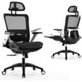 thumbnail image 1 of Ergonomic Mesh Office Chair with Footrest and Adjustable Lumbar Support, High Back Home Office Desk Chair, 4D Flip-up Arms, 3-Level Tilt Backrest, Computer Chair for Long Desk Work, 1 of 8