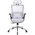 Ergonomic Mesh Office Chair, High Back Desk Chair with Adjustable