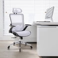 thumbnail image 1 of Ergonomic Mesh Office Chair, Home Computer Chair with Filp-up Arms and Tilt Backrest, High Back Office Chair with Lumbar Support and Blade Wheels for Home, Office, 1 of 7