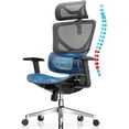 Ergonomic Mesh Office Chair Seat Depth Adjustable Home Office Desk