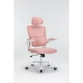 Ergonomic Mesh Office Chair with 3D Adjustable Lumbar Support, Pink