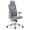 Ergonomic Office Chair with Adaptive Backrest, High Back Computer Desk