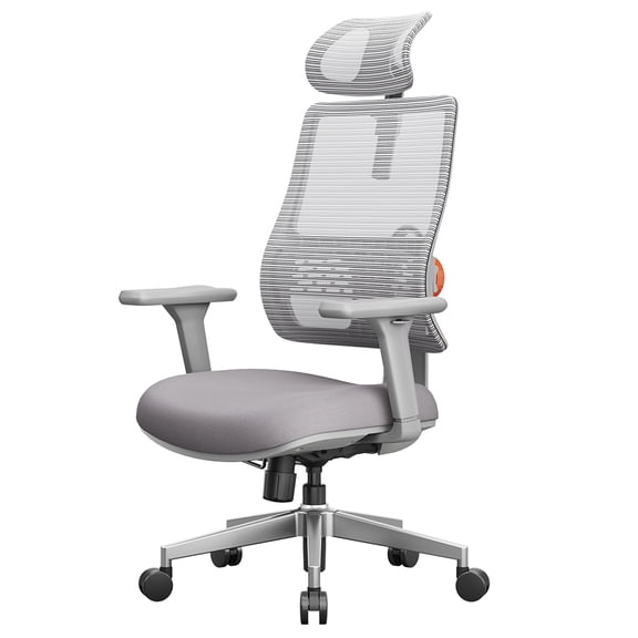 Ergonomic Office Chair Adaptive Lumbar Support, Multifunctional Adjustments & Certified Comfort NEWTRAL MAGICH003