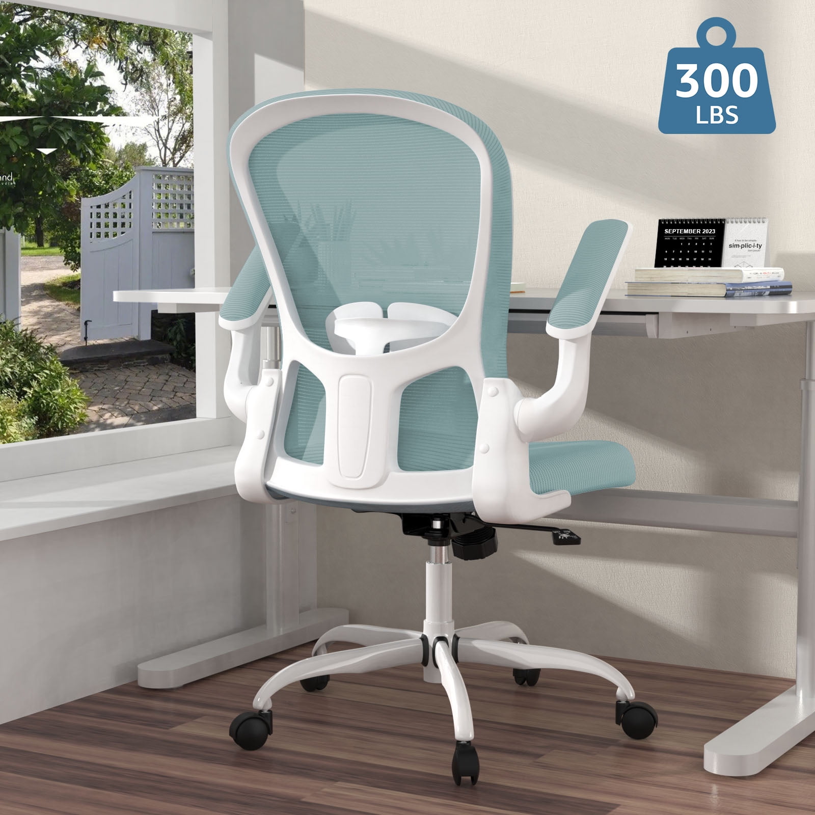 Ergonomic Office Chair, Comfort Home Office Task Chair, Lumbar