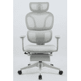 thumbnail image 1 of Ergonomic Office Chair with Footrest, High Back Computer Office Chair with Dynamic Lumbar Support, 2D Headrest, 2D Armrest, Sponge Seat, Mesh Home Office Desk Chair for Adults, Grey, 1 of 6