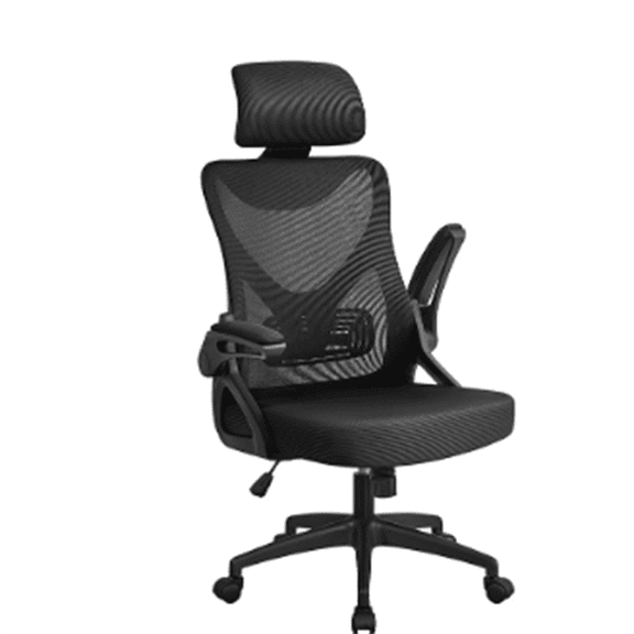 Ergonomic Office Chair, High Back Desk Chair with Headrest and Flip-up Armrest Lumbar Support for Home Office Meeting Room Study, Black