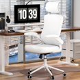 Ergonomic Office Chair, High Back Mesh Desk Chair with Molded Foam